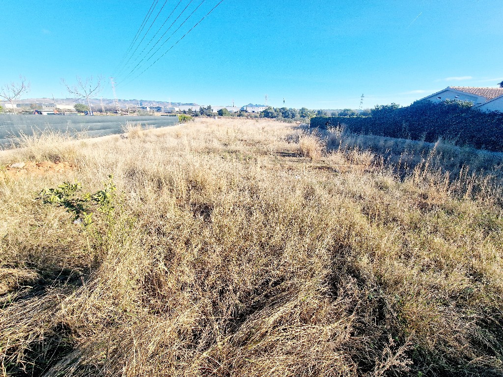 VILLARREAL, ,Terreno,EN VENTA,1238