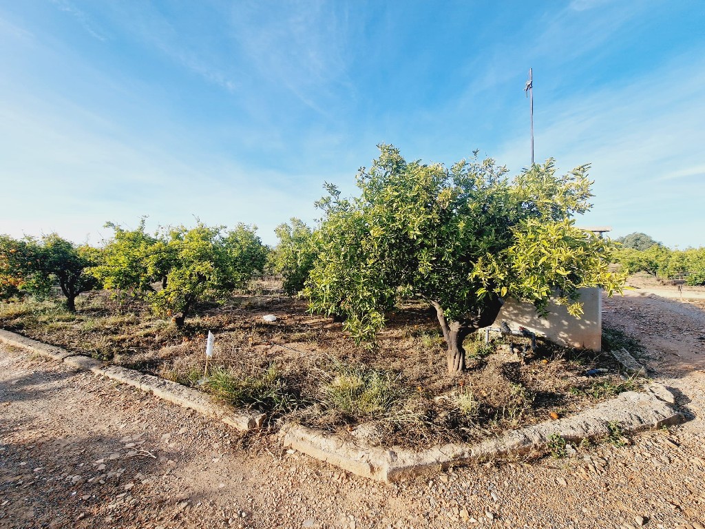 VILLARREAL, 0 ,0,Terreno,EN VENTA,0,1240 VILLARREAL, 0 ,0,Terreno,EN VENTA,0,1240