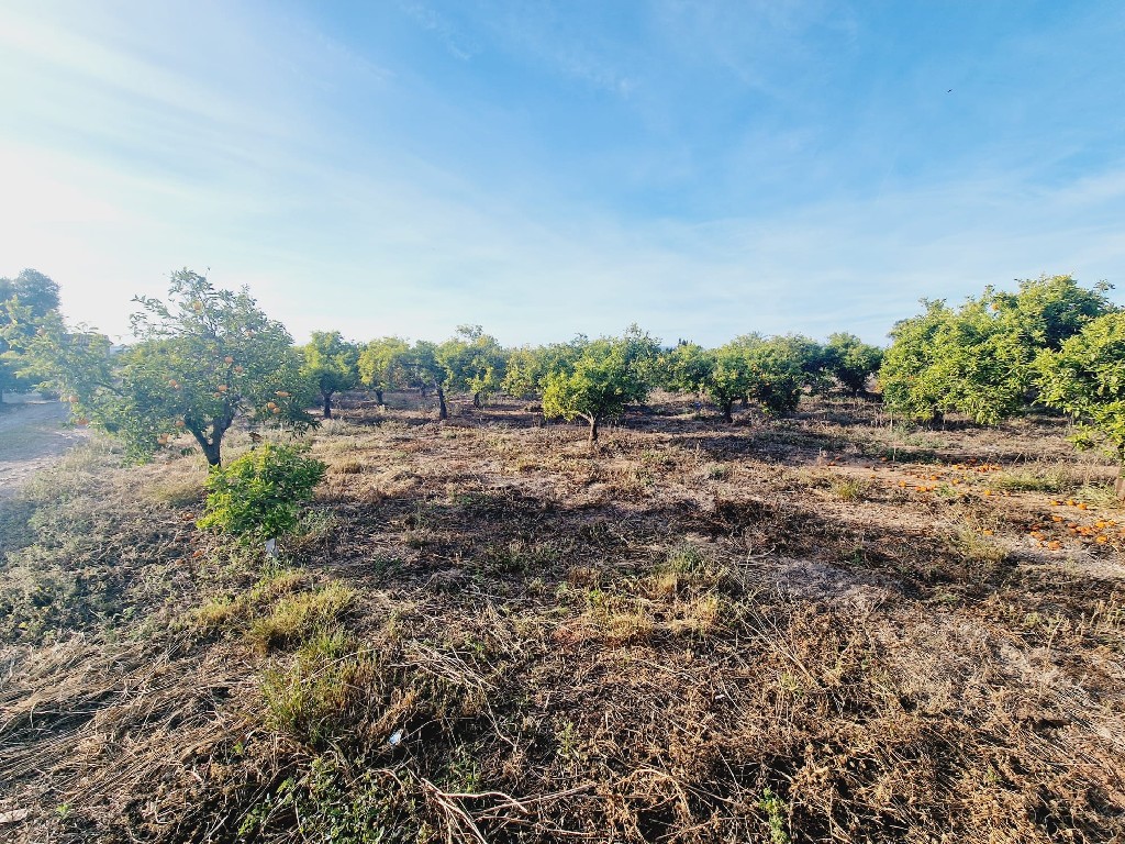 VILLARREAL, 0 ,0,Terreno,EN VENTA,0,1240 VILLARREAL, 0 ,0,Terreno,EN VENTA,0,1240