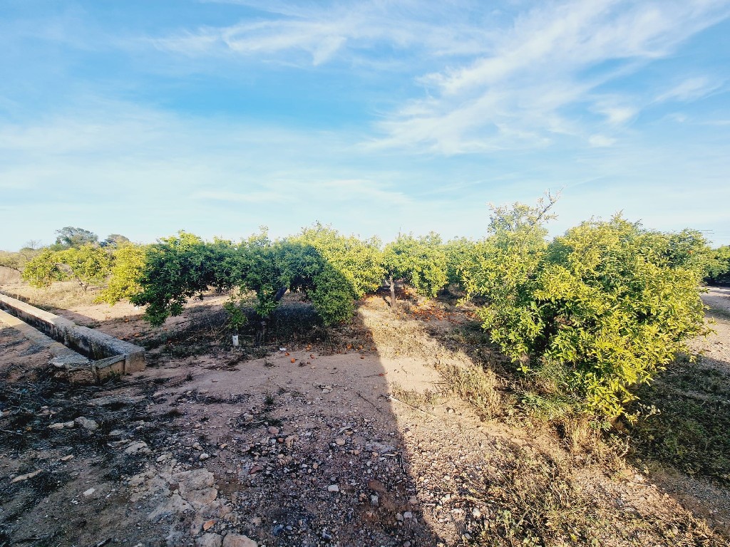 VILLARREAL, 0 ,0,Terreno,EN VENTA,0,1240 VILLARREAL, 0 ,0,Terreno,EN VENTA,0,1240