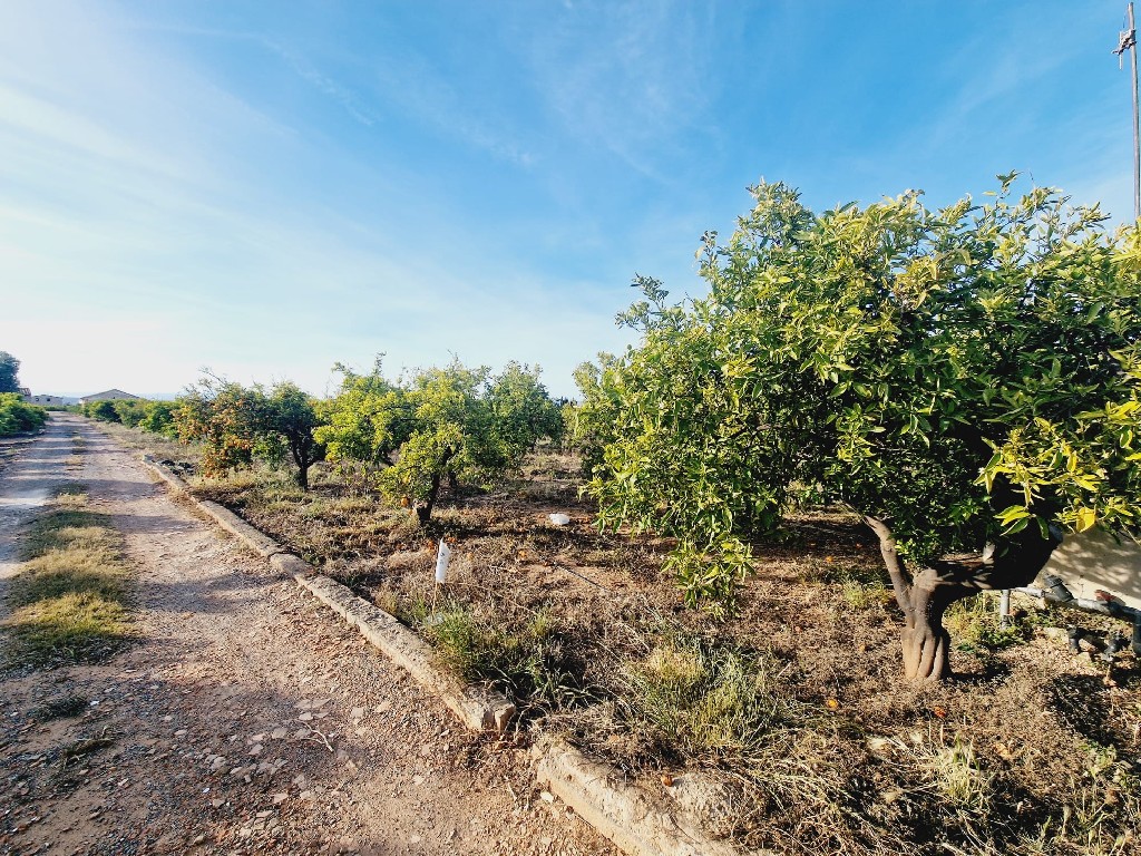 VILLARREAL, 0 ,0,Terreno,EN VENTA,0,1240 VILLARREAL, 0 ,0,Terreno,EN VENTA,0,1240