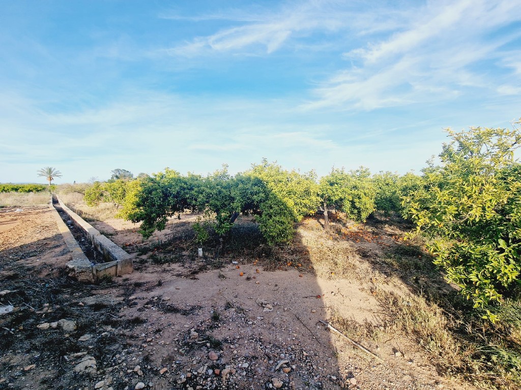 VILLARREAL, 0 ,0,Terreno,EN VENTA,0,1240 VILLARREAL, 0 ,0,Terreno,EN VENTA,0,1240