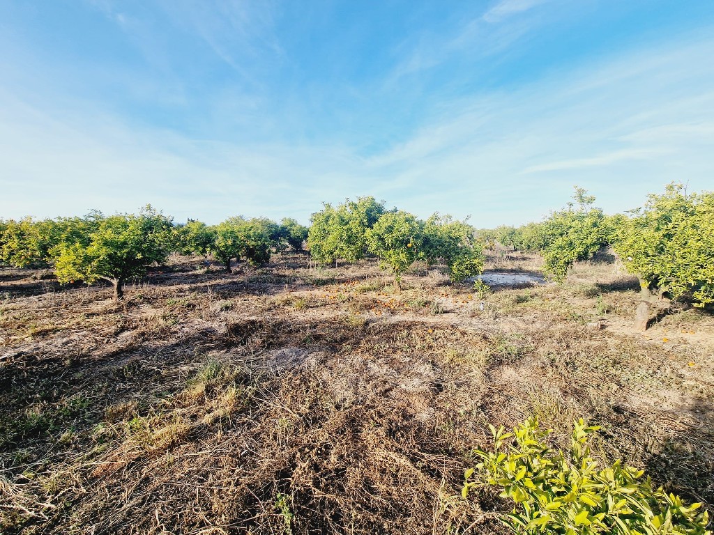 VILLARREAL, 0 ,0,Terreno,EN VENTA,0,1240 VILLARREAL, 0 ,0,Terreno,EN VENTA,0,1240