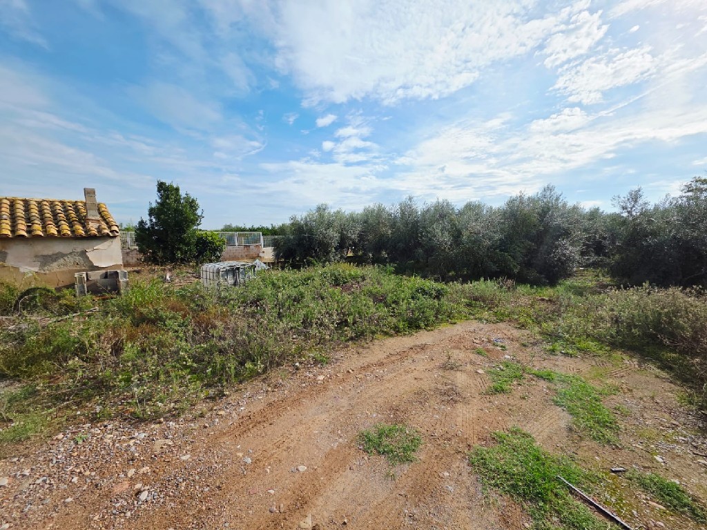 VILLARREAL, 0 ,0,Terreno,EN VENTA,0,1308 VILLARREAL, 0 ,0,Terreno,EN VENTA,0,1308