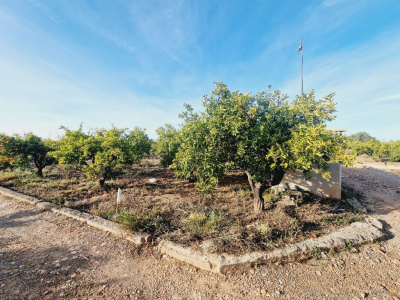 VILLARREAL, 0 ,0,Terreno,EN VENTA,0,1310 VILLARREAL, 0 ,0,Terreno,EN VENTA,0,1310