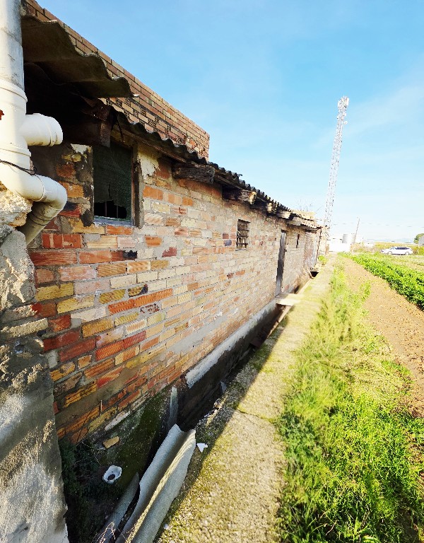 BABECOL, ALQUERIAS, 4 Habitaciones Habitaciones,1 BañoBathrooms,Casa,EN VENTA,CASA CAMPO,BABECOL,0,1339