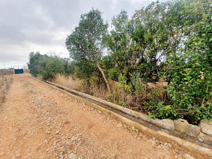 PARTIDA PINELLA, VILLARREAL, 0 ,0,Terreno,EN VENTA,PARTIDA PINELLA,0,1355