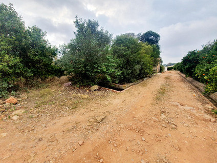 PARTIDA PINELLA, VILLARREAL, 0 ,0,Terreno,EN VENTA,PARTIDA PINELLA,0,1355