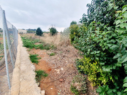 PARTIDA PINELLA, VILLARREAL, 0 ,0,Terreno,EN VENTA,PARTIDA PINELLA,0,1355